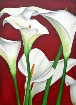 "White Arum Lilies Against Scarlet"