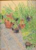 "Garden Pots"