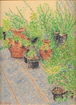 "Garden Pots"