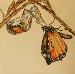 "Birth of a Butterfly"