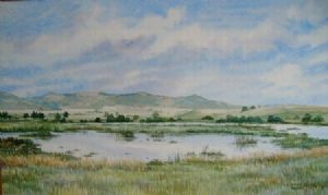 "Bird's Paradise- Wakkerstroom"
