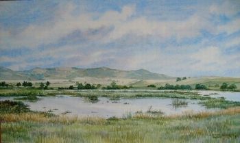 "Bird's Paradise- Wakkerstroom"