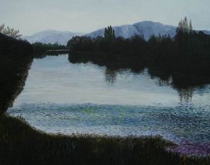 "Cape Town Vlei"