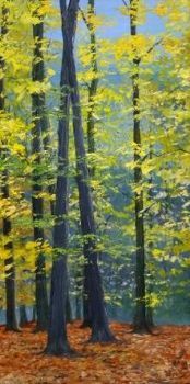 "Autumn in an Arnhem Forest, Holland"