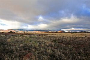 "Rolling Hills"