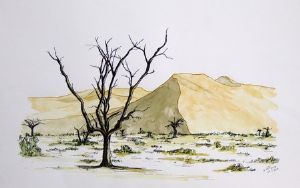 "Close to Sosusvlei"