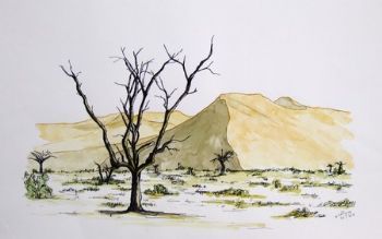 "Close to Sosusvlei"
