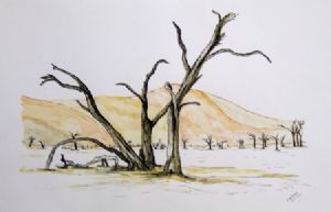 "Sosusvlei"