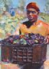 "Grape Picker No 3"