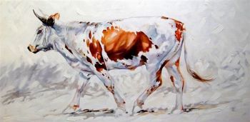 "Nguni on the trot"