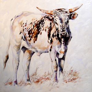 "Sprinkle the young Nguni Bull"