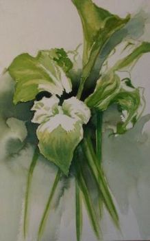"Lilies"