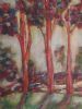 "Blue Gum Forest"