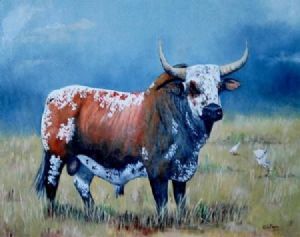 "Nguni Bull #11"