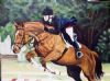"showjumping"