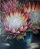 "Proteas in Blue Bowl"