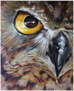 "Eagle eye"