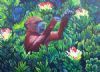 "Red Baboon in the Protea Tree"