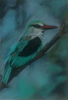 "Woodlands Kingfisher"