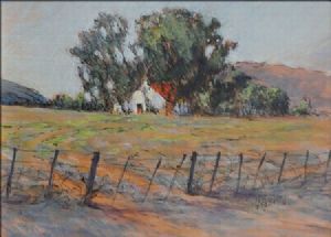 "Home in the Trees"