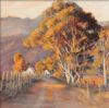 "Gum Tree Lane"