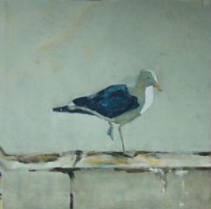 "Port St. Francis/Gulls VI"