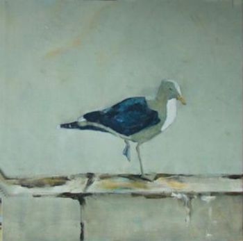 "Port St. Francis/Gulls VI"