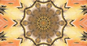 "Desert Star"