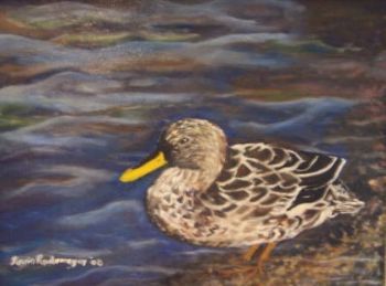 "Yellowbilled Duck"