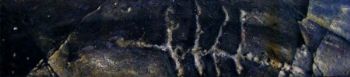 "Palimpsest II"