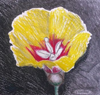 "Yellow Flower"