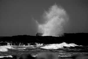 "Ocean Spray"