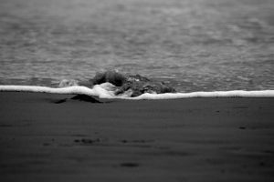 "Sea and Sand"