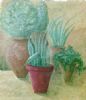 "Potted terrace"