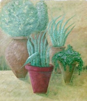 "Potted terrace"