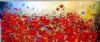 "Poppie Meadow"