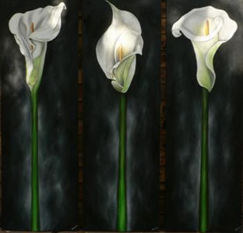 "Arum Lillies"