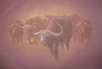 "Blue Buffalo"