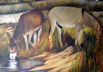 "Donkeys"