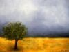 "Bushveld Landscape"