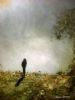 "Walk into the light"
