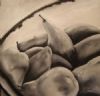 "Black & white pears 1"