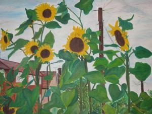 "Urban Sunflowers"