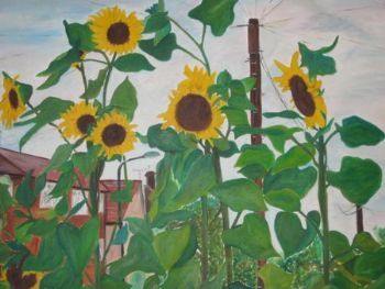 "Urban Sunflowers"