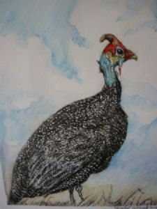 "Guinea Fowl"
