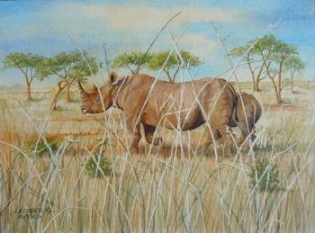 "Rhinos in the Grass"