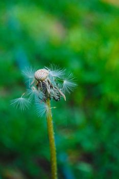 "BlownAway"