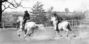 "Lions River Sprint"