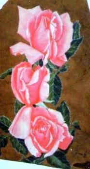 "pink roses"