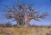 "Baobab Tree"